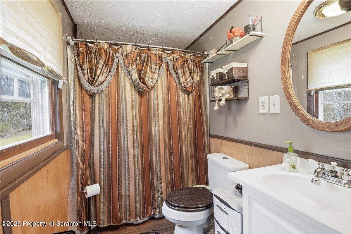1140 Ball Pond Road Thompson, PA 18465 - Photo 64 of 68 a bathroom with a sink a toilet and a mirror
