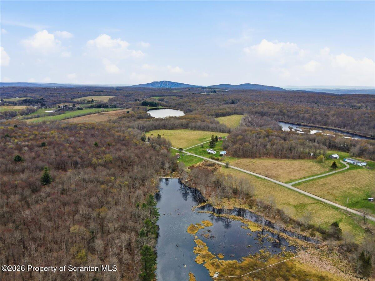 1140 Ball Pond Road Thompson, PA 18465 - Photo 7 of 68 Aerial View