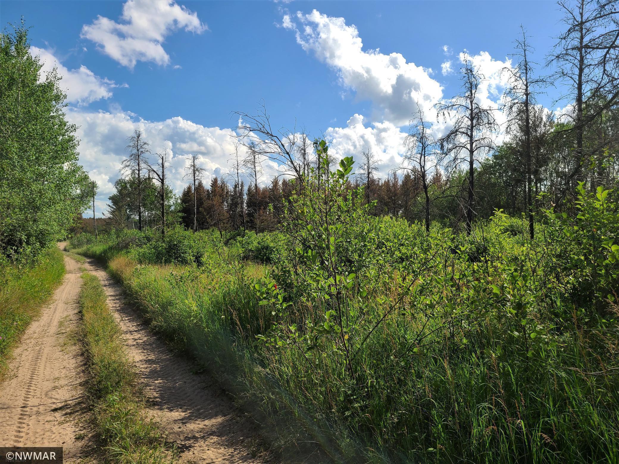 Tbd Tbd Grange Road Northwest Shevlin, MN 56676 - Photo 1 of 1 Gallery Image 1