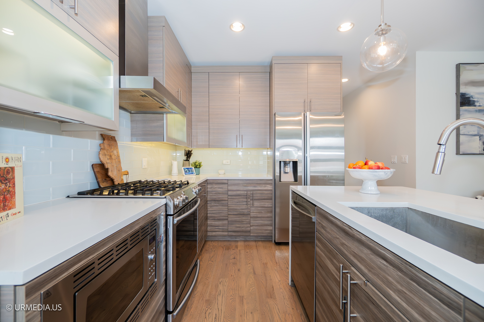 1221 East 46th Street, Unit 1 Chicago, IL 60653 - Photo 9 of 38