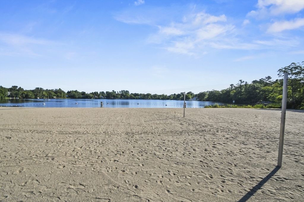 56 Grove Avenue Wilmington, MA 01887 - Photo 6 of 40