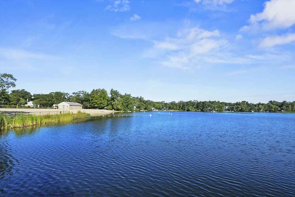 56 Grove Avenue Wilmington, MA 01887 - Photo 8 of 40