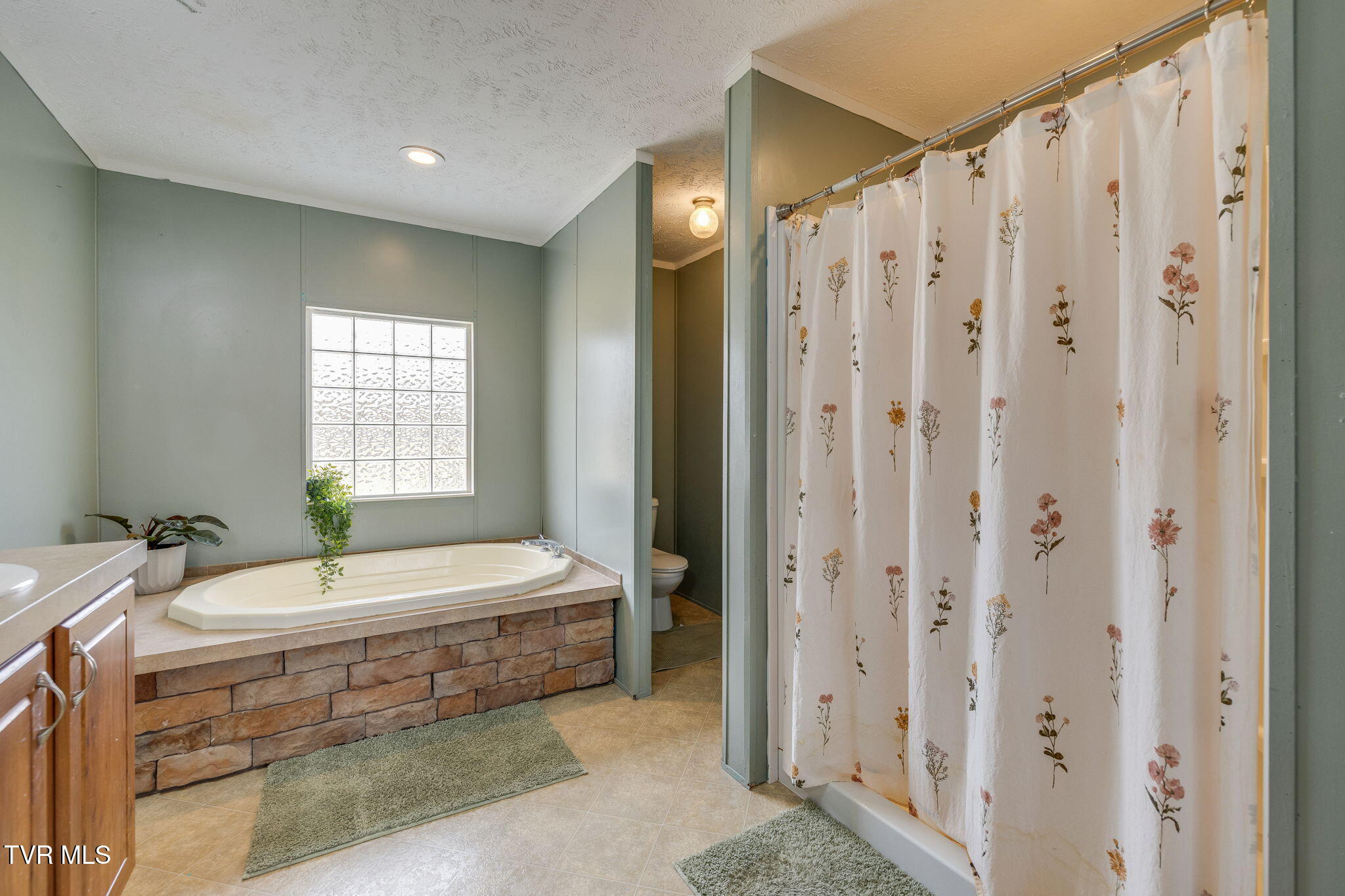 1576 Corby Bridge Road Chuckey, TN 37641 - Photo 17 of 41 020