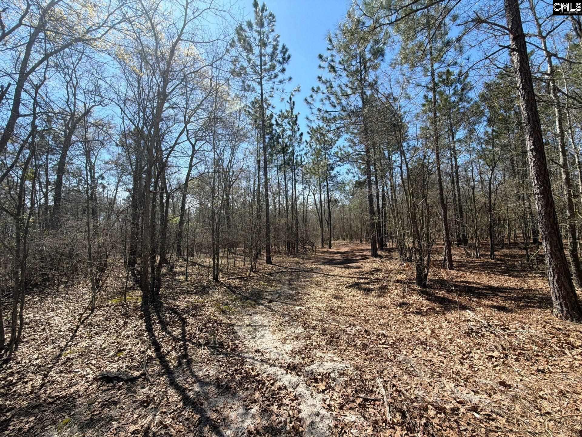 9 Boise Cascade Road, Unit BHL 9 Bethune, SC 29009 - Photo 26 of 44