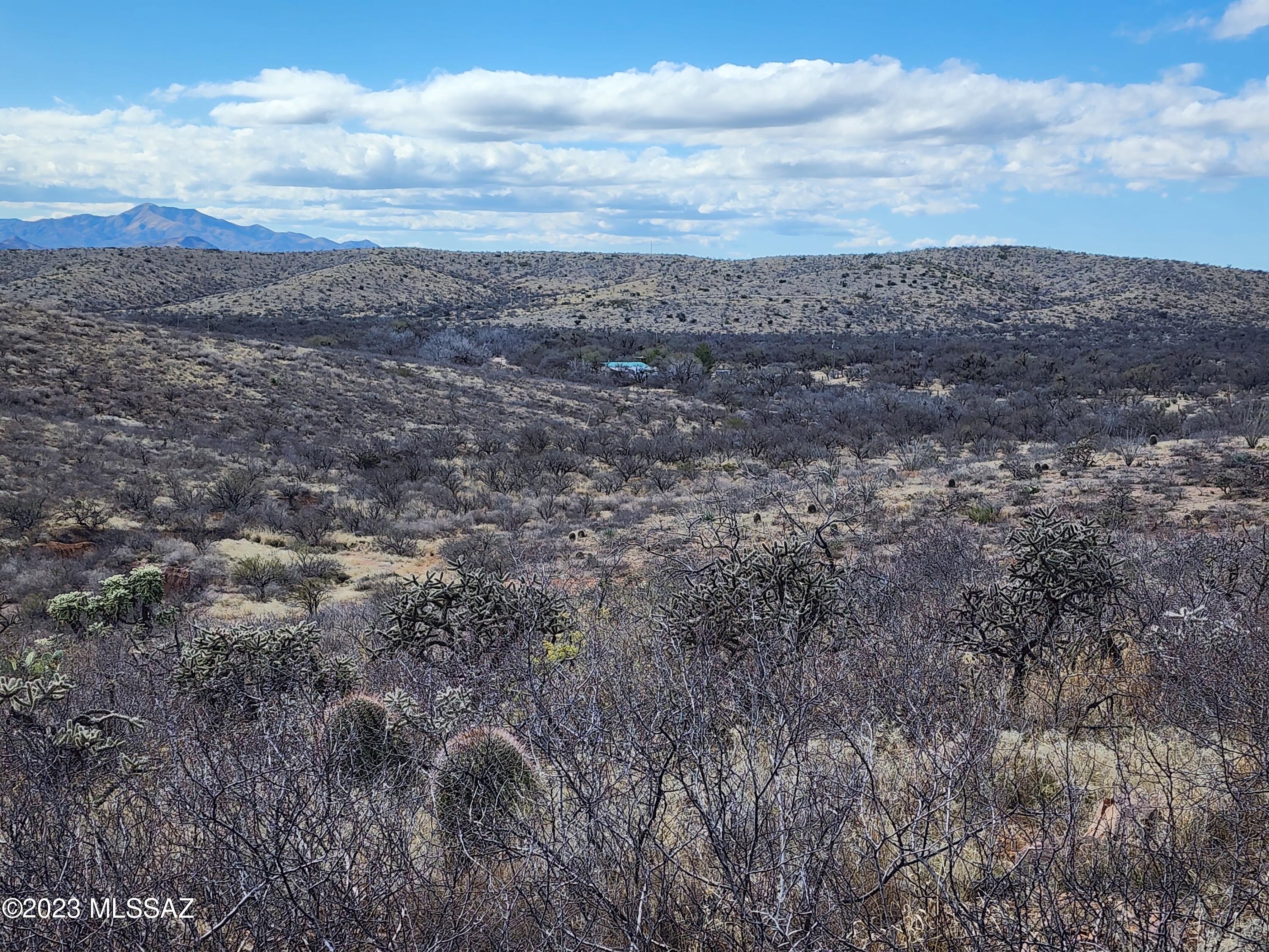 13791 South Bell Road Benson, AZ 85602 - Photo 11 of 39 Gallery Image 11