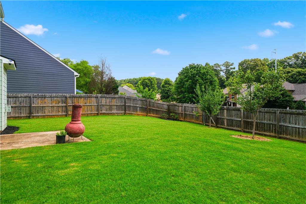 233 Manous Way Canton, GA 30115 - Photo 46 of 67