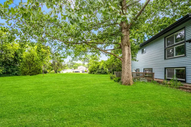 a view of a backyard with table and chairs and a large tree