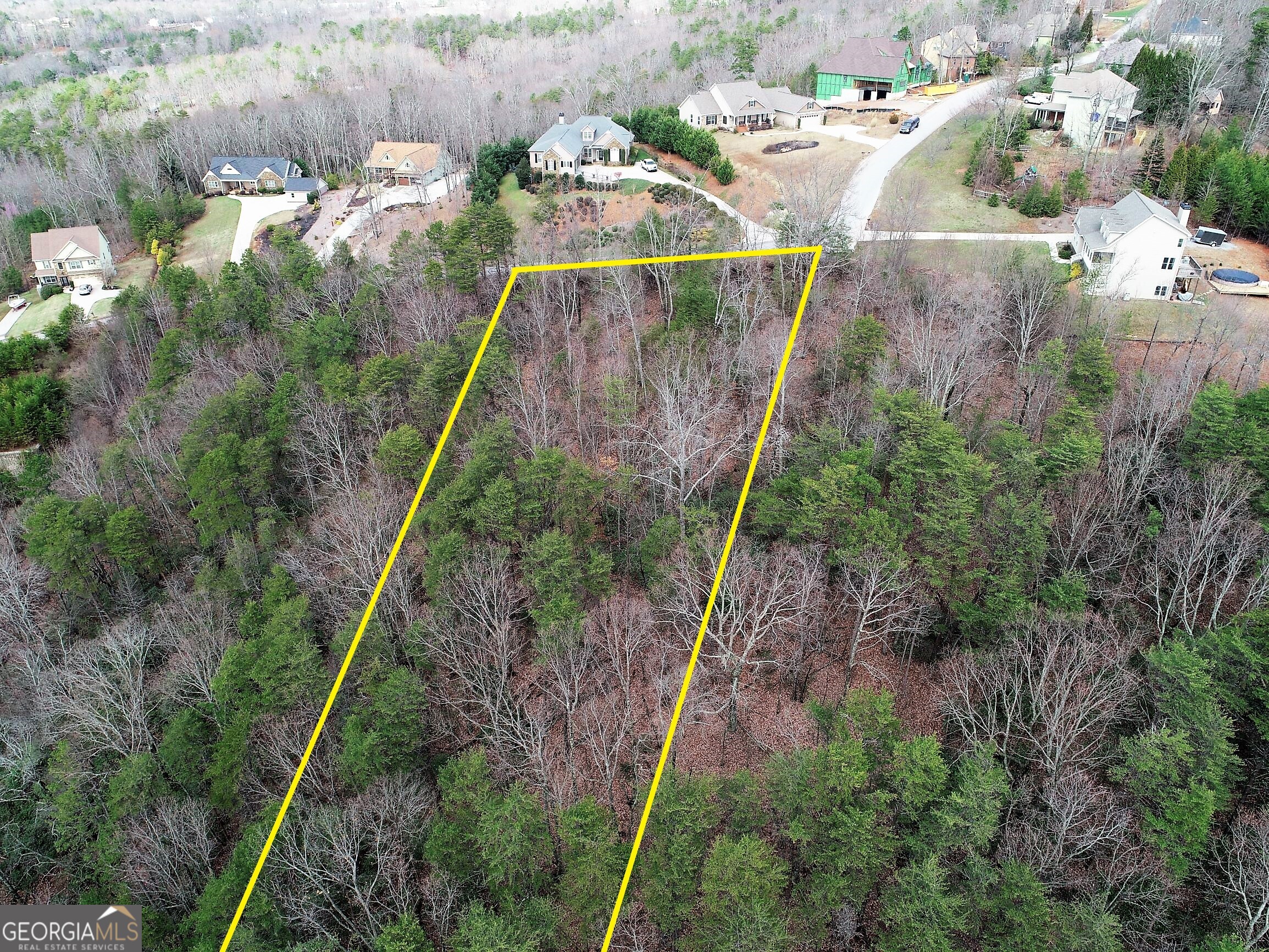 0 Grand View Drive Cleveland, GA 30528 - Photo 2 of 7 a view of a backyard