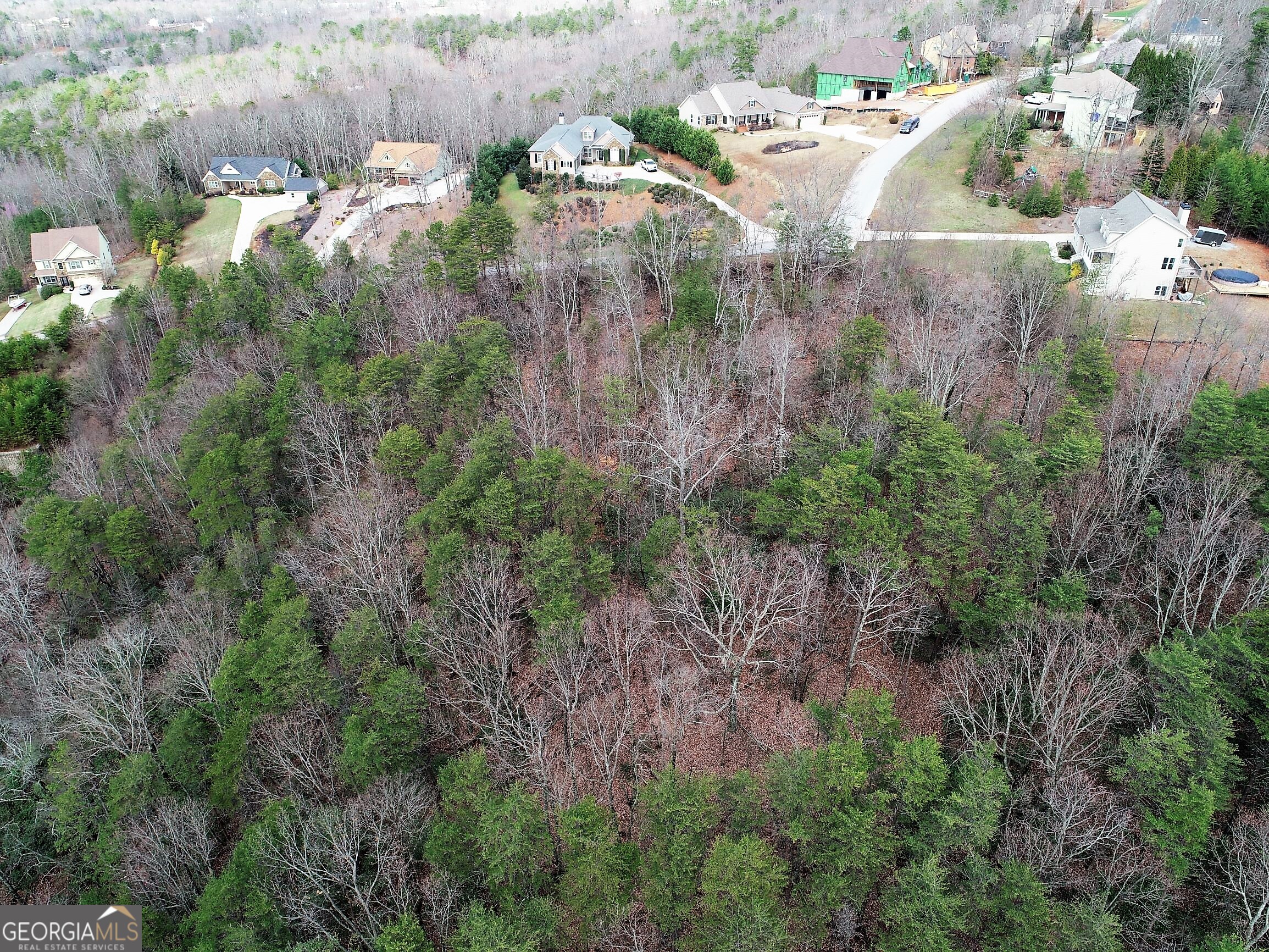 0 Grand View Drive Cleveland, GA 30528 - Photo 4 of 7 an aerial view of residential house with outdoor space