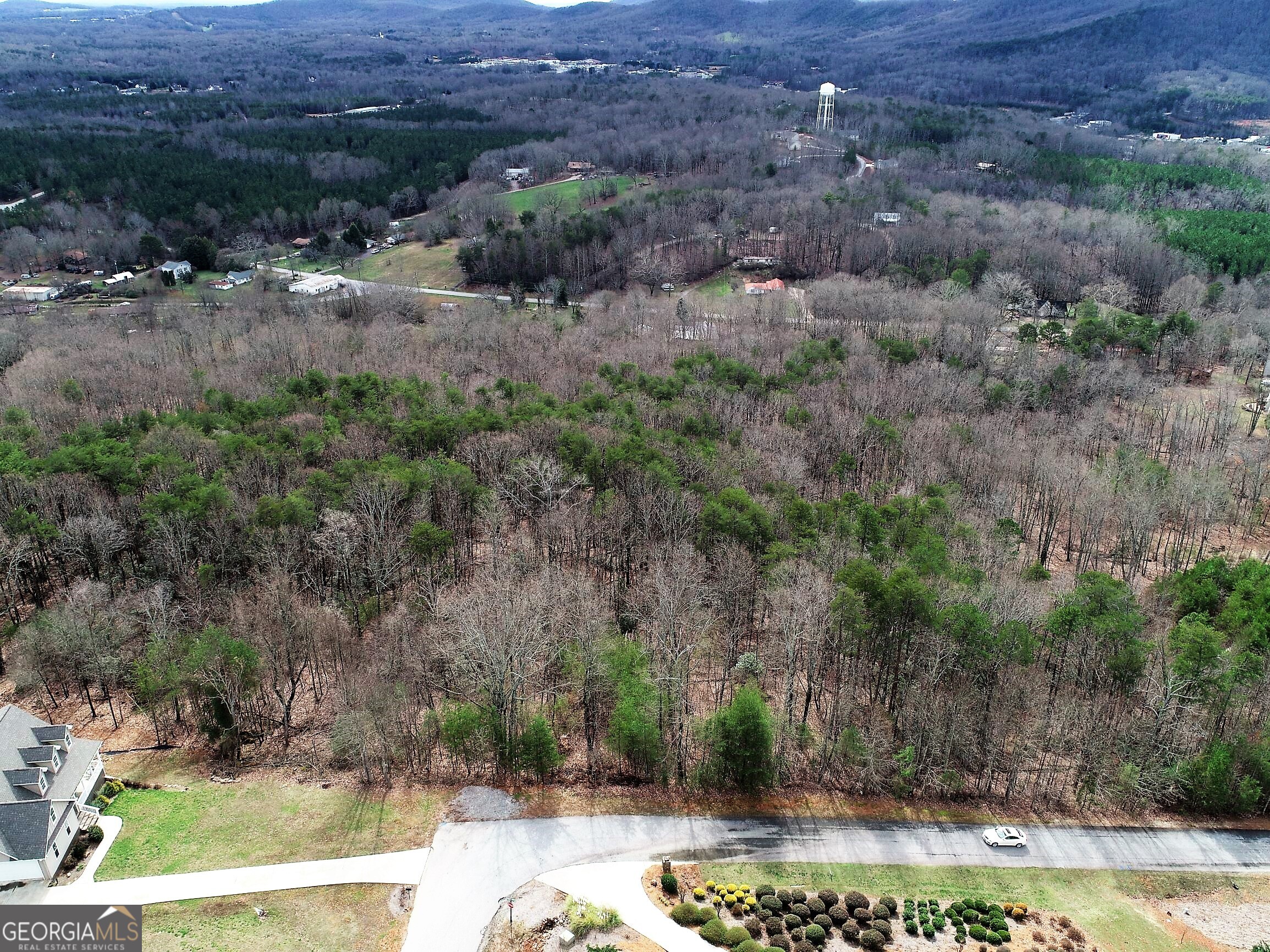 0 Grand View Drive Cleveland, GA 30528 - Photo 6 of 7 a view of a back yard with green space