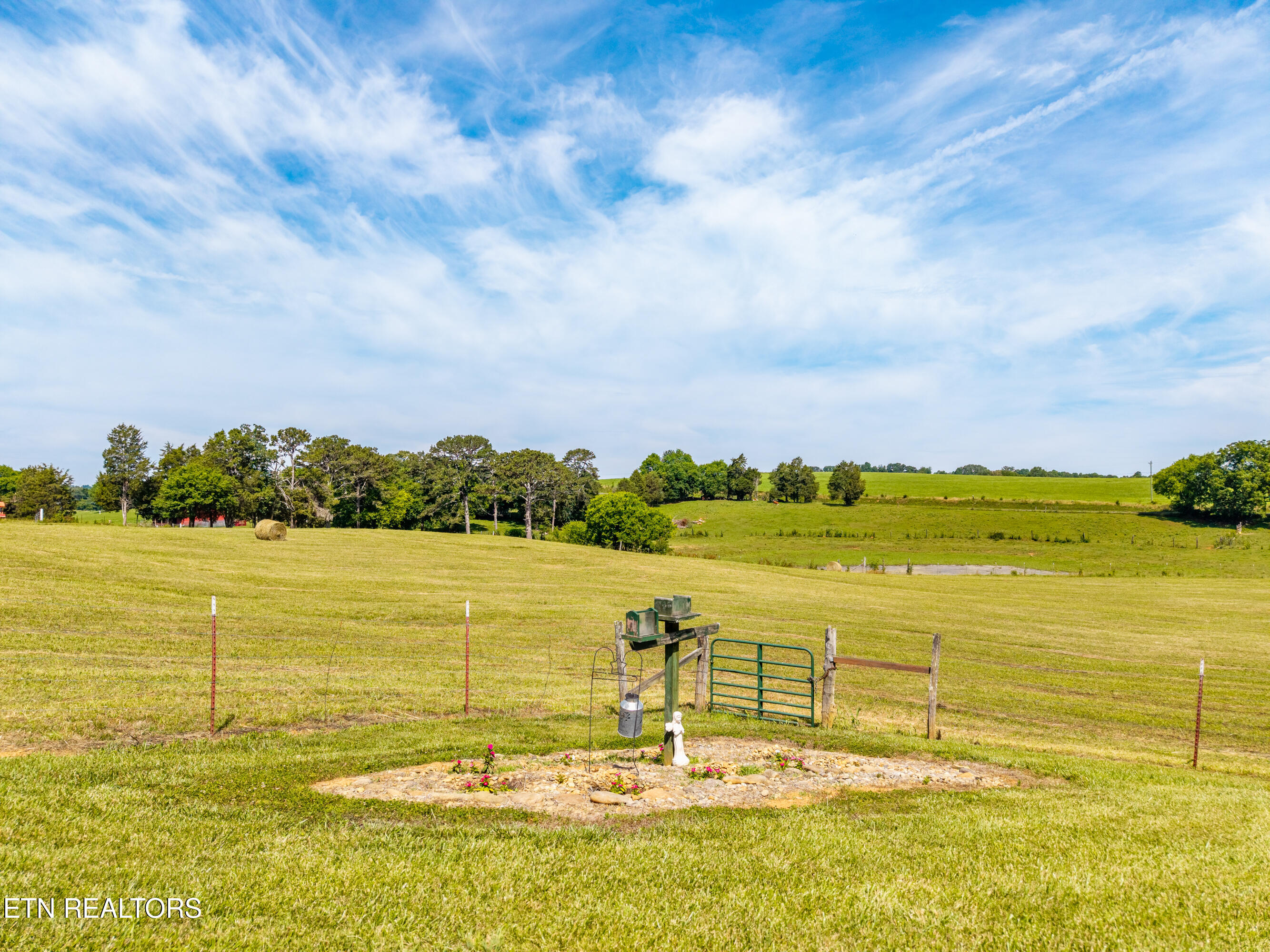 3995 Meadow Road West Greenback, TN 37742 - Photo 55 of 55 3995MeadowRd-24