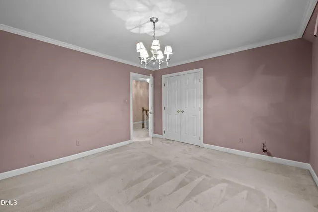 a view of a big yard with plants and large trees