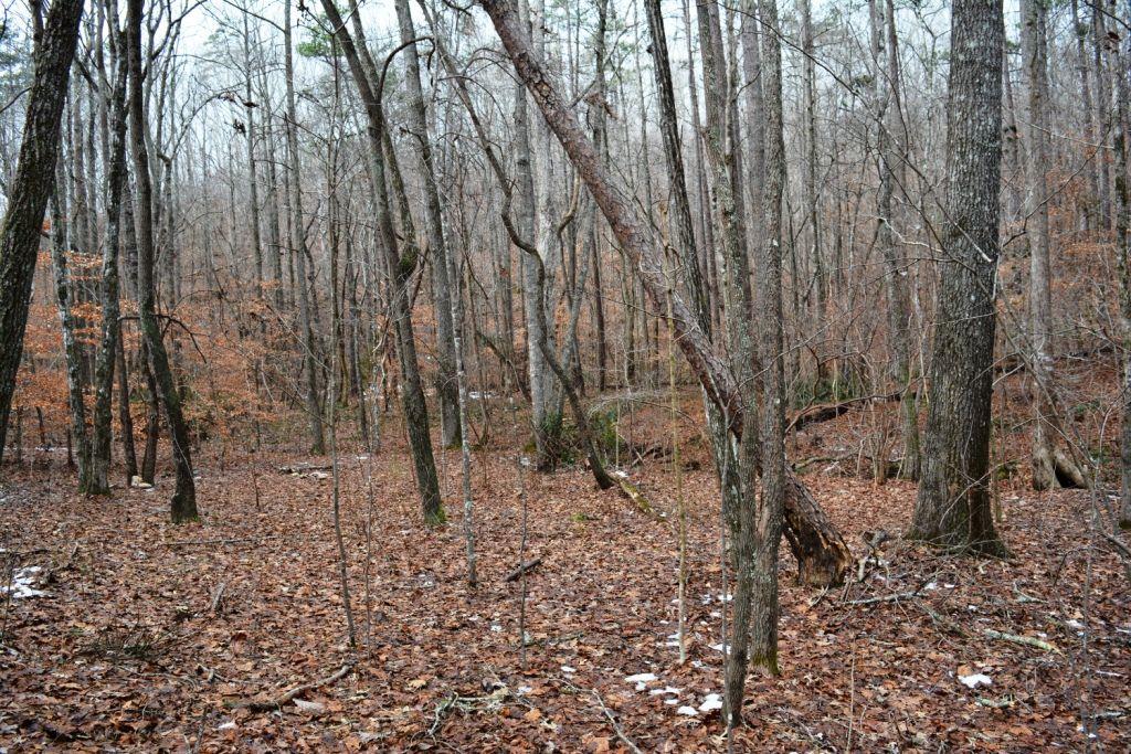 0 Willow Springs Road Dallas, GA 30132 - Photo 5 of 5