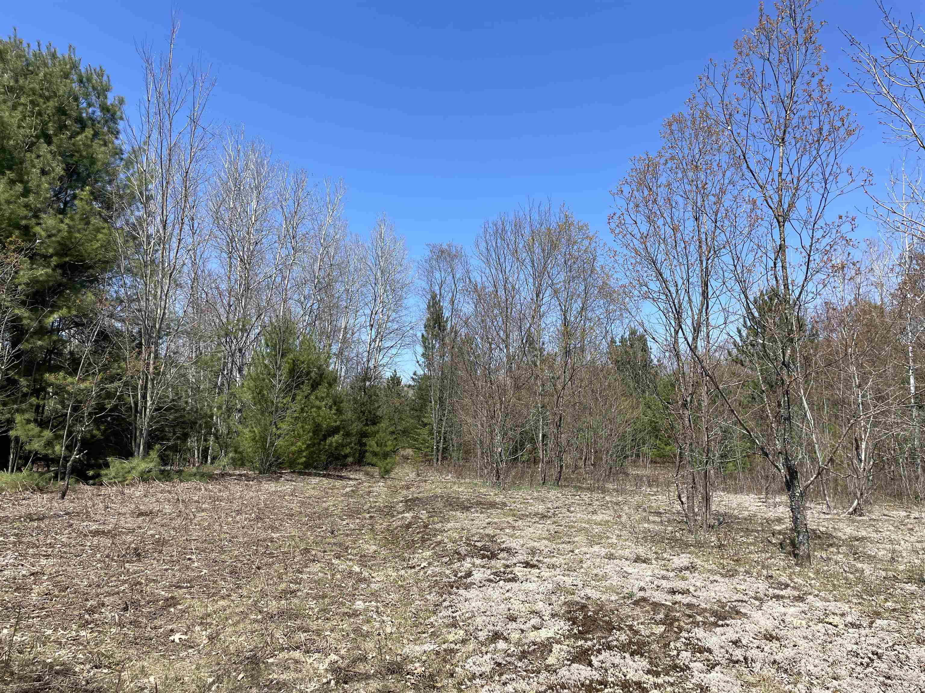 0 East 38 Road Cadillac, MI 49601 - Photo 37 of 39