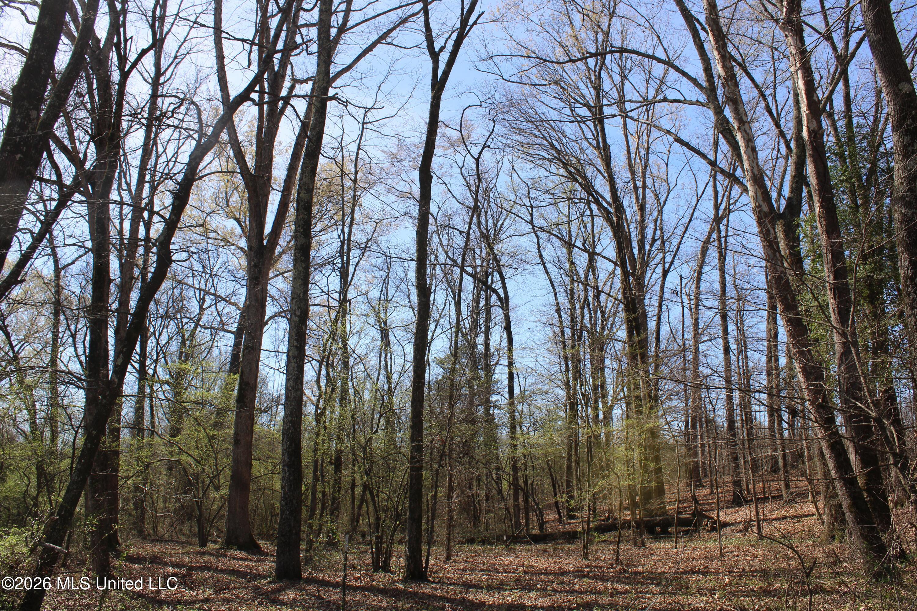 12 Barton Desoto Road Olive Branch, MS 38654 - Photo 2 of 10 land