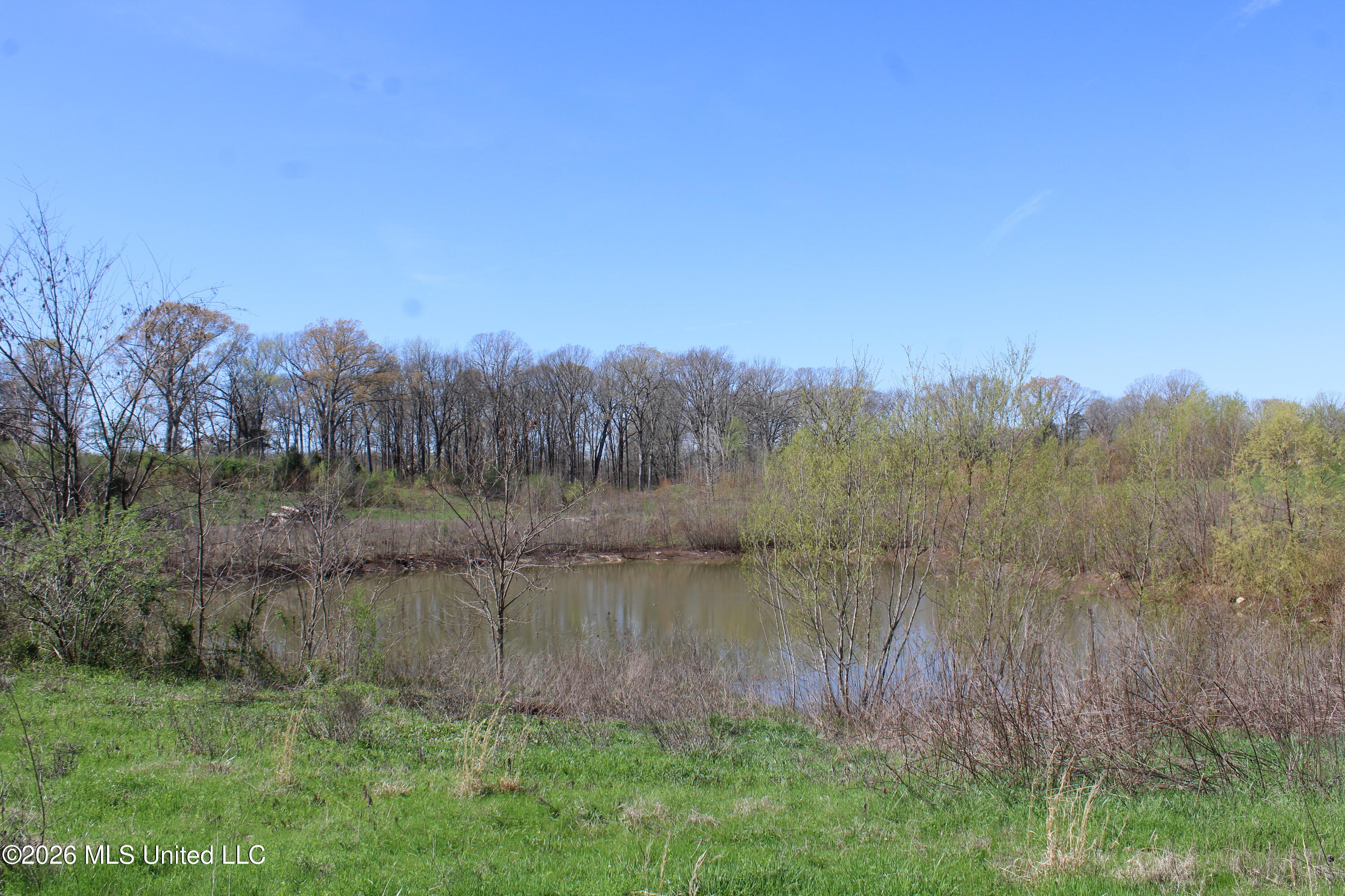 12 Barton Desoto Road Olive Branch, MS 38654 - Photo 8 of 10 IMG_7525