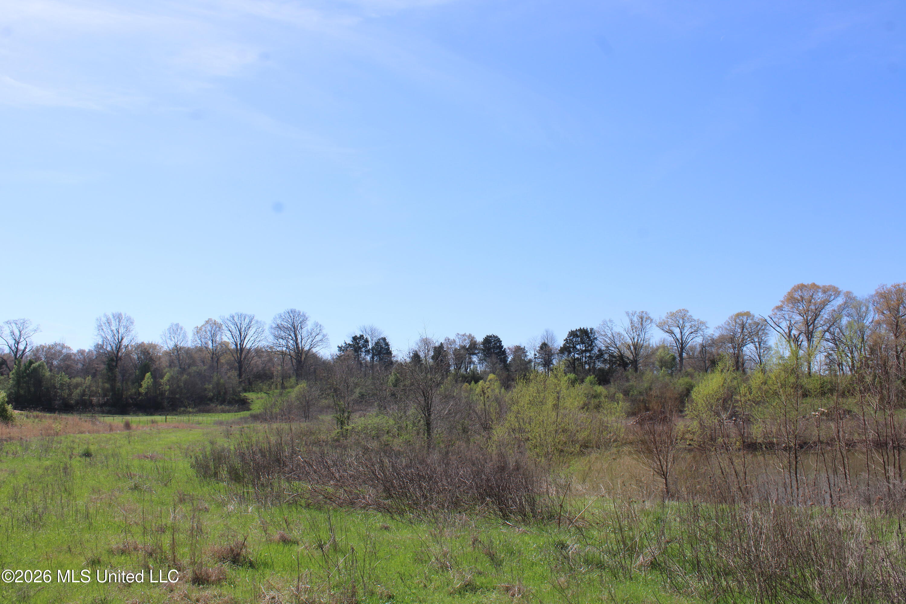 12 Barton Desoto Road Olive Branch, MS 38654 - Photo 9 of 10 IMG_7527