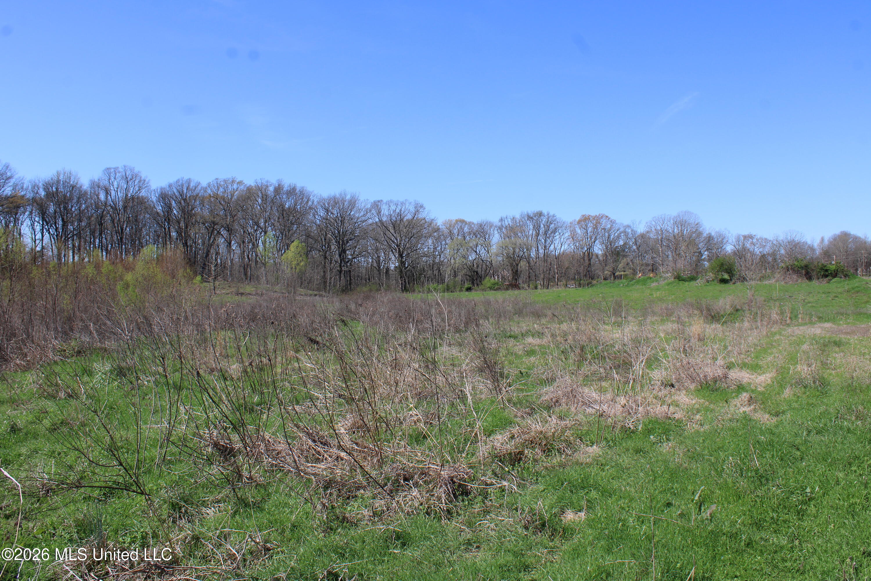 12 Barton Desoto Road Olive Branch, MS 38654 - Photo 10 of 10 IMG_7528