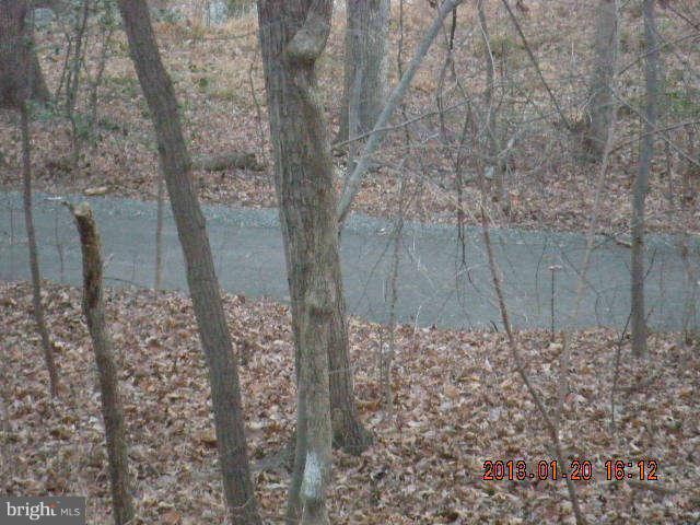 2106 Green Watch Way, Unit 200 Reston, VA 20191 - Photo 3 of 10 a view of a backyard