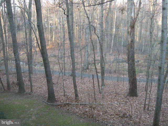 2106 Green Watch Way, Unit 200 Reston, VA 20191 - Photo 7 of 10 a view of a dry yard