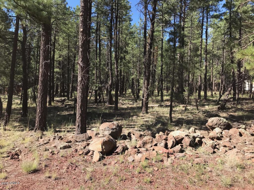 7401 East Robin Hood Road, Unit 264 Williams, AZ 86046 - Photo 1 of 1 1
