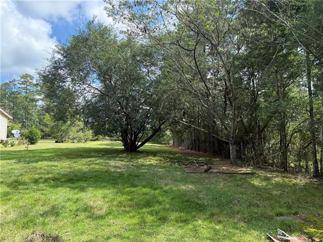 18150 West Lewiston Road Kentwood, LA 70444 - Photo 1 of 2 Gallery Image 1