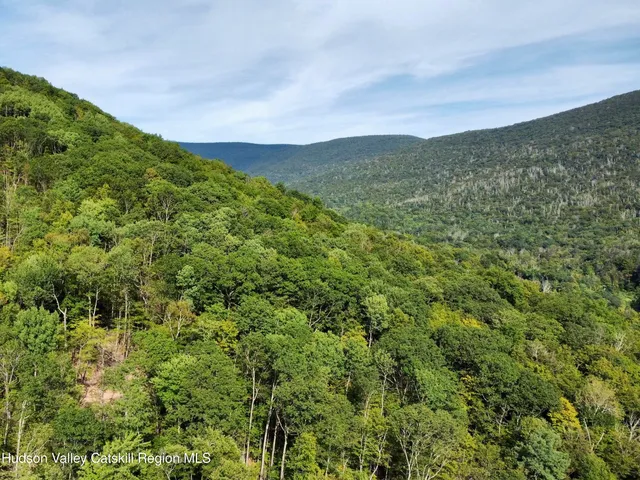 a garden view with a seating space