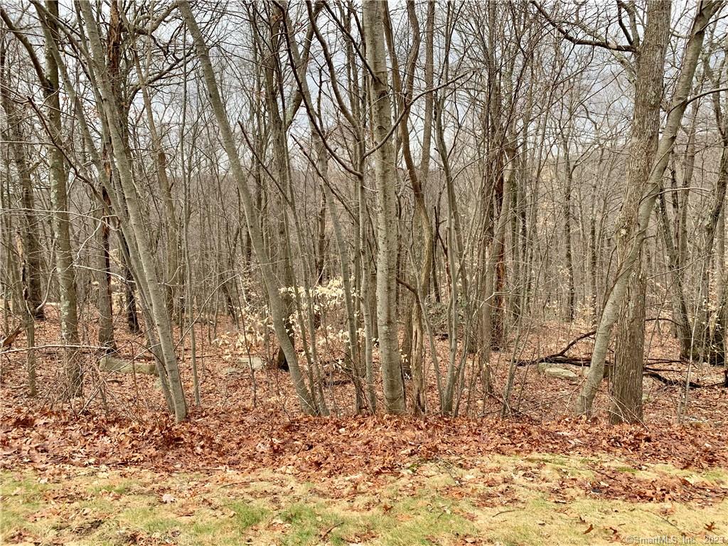 241 Old Farms Road South Glastonbury, CT 06073 - Photo 1 of 5 a view of wooden fence