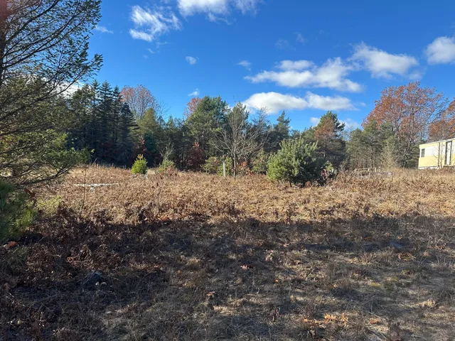 $10,000 | 8159 North Sweet Chevy Lane, Bitely, MI 49309