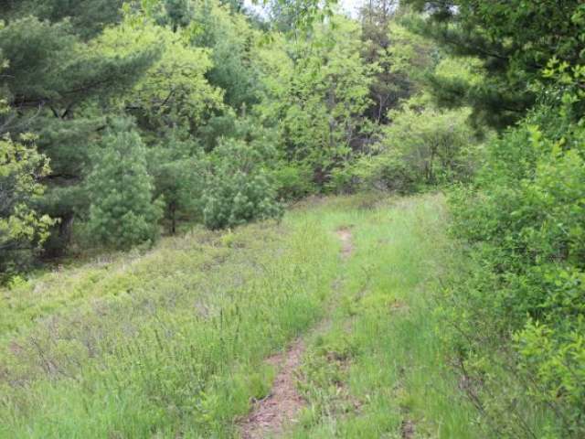 Near Loon Lake Road Eagle River, WI 54521 - Photo 13 of 13 Gallery Image 13