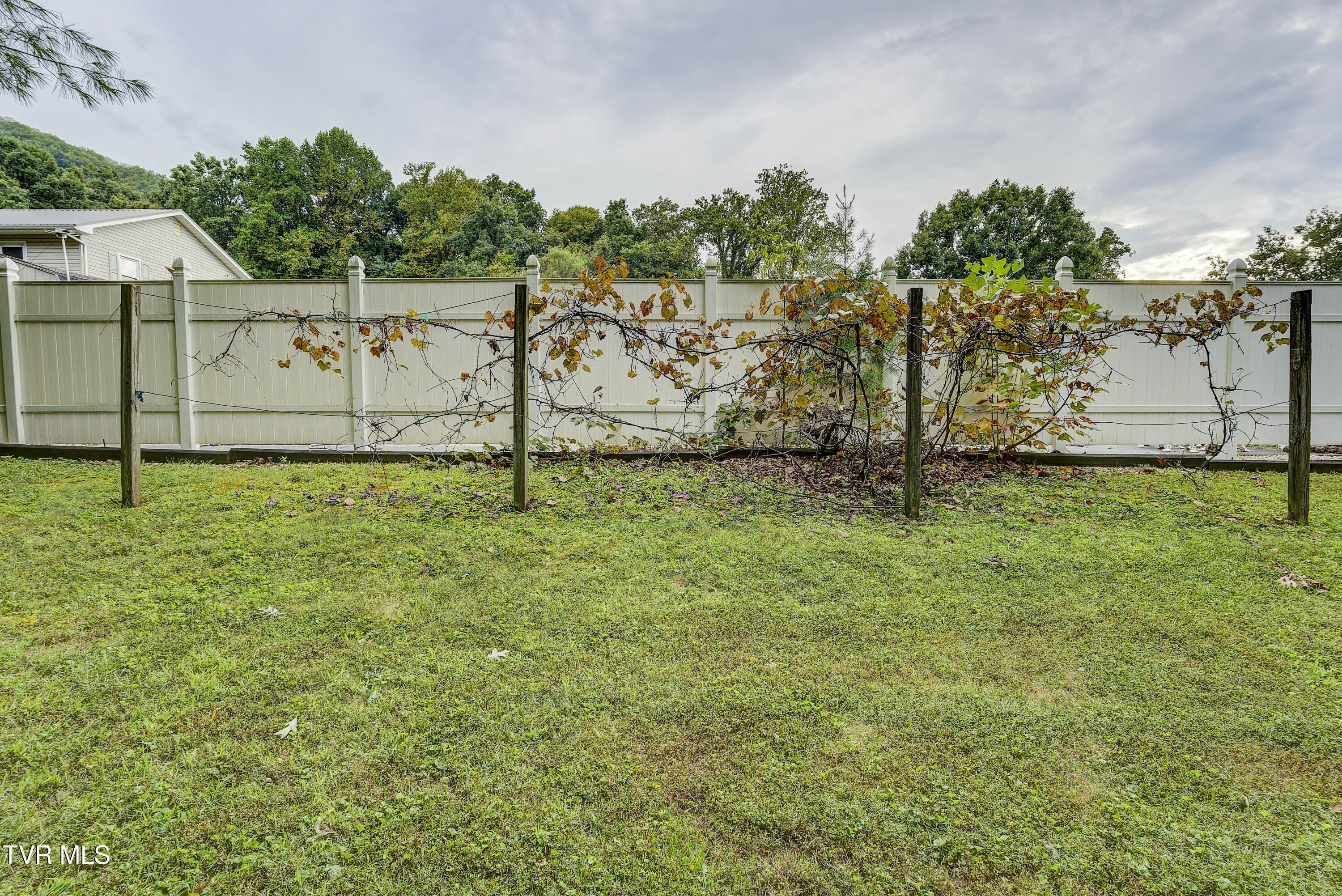 206 Sycamore Street Erwin, TN 37650 - Photo 50 of 61 Sycamore-48