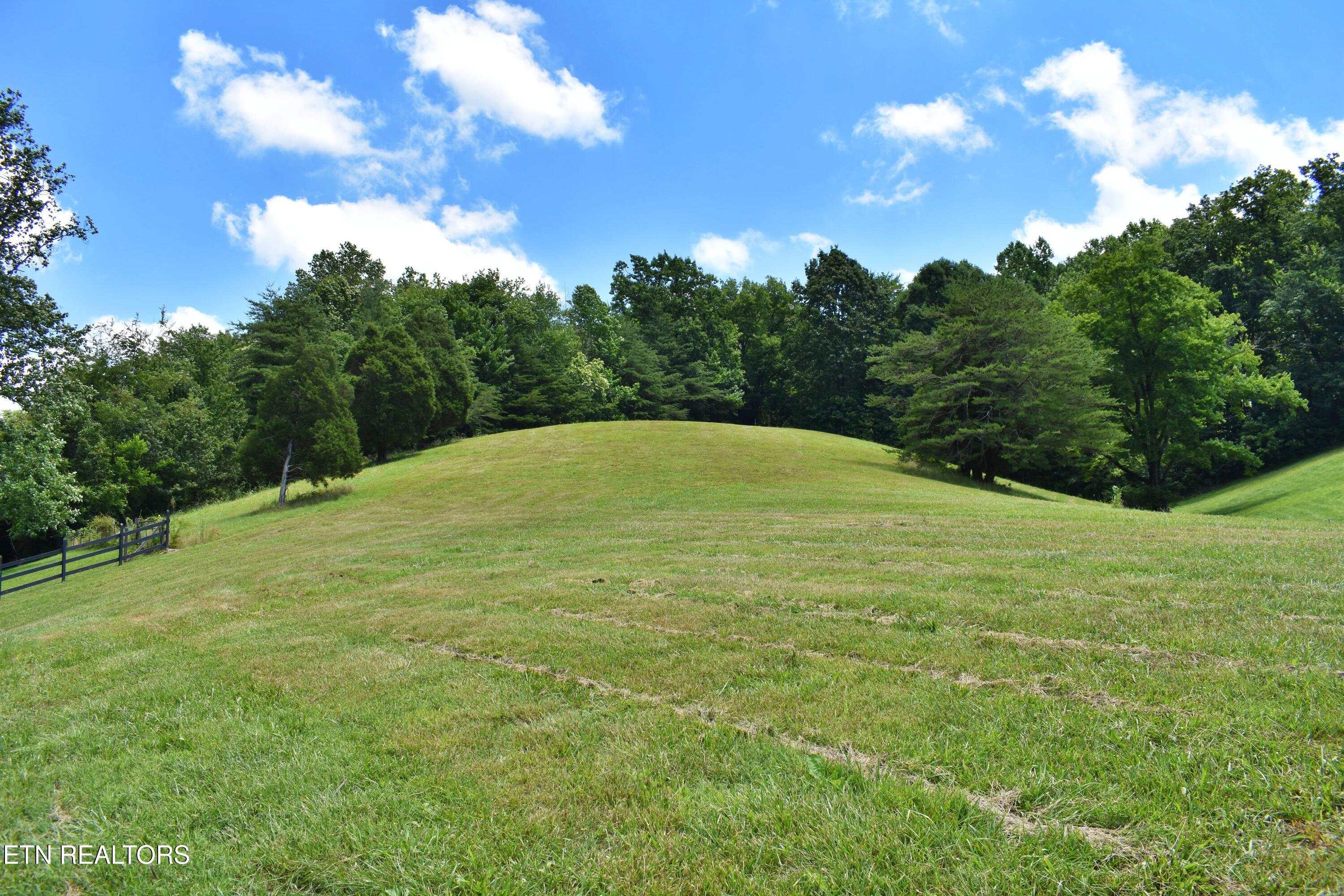 1319 Ideal Valley Road Spring City, TN 37381 - Photo 29 of 49 DSC_0766