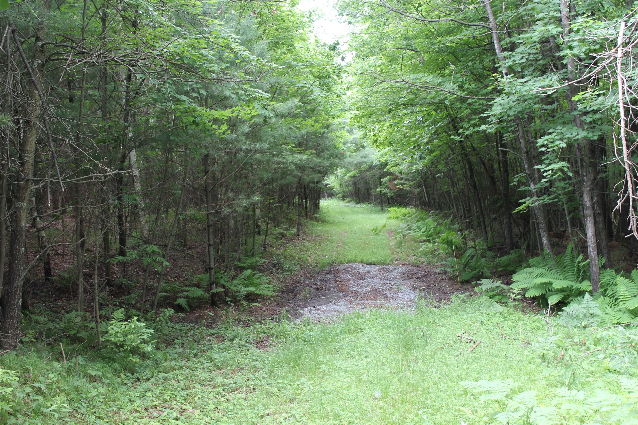 0 Rouse Road Neillsville, WI 54456 - Photo 11 of 27