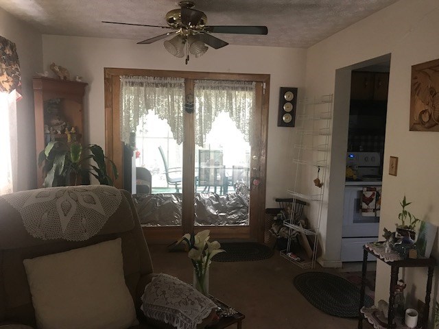 7012 South Rogers Road Lizella, GA 31052 - Photo 14 of 23 a living room with furniture and a large window