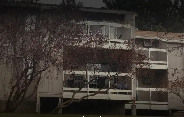a view of a patio with table and chairs and potted plants