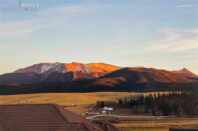 105 Matthew Road Divide, CO 80814 - Photo 43 of 50 Gallery Image 43