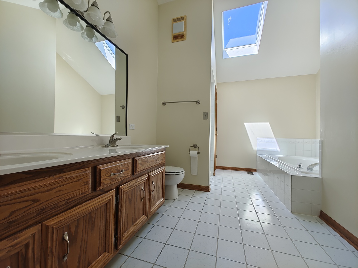 4807 Snapjack Circle Naperville, IL 60564 - Photo 18 of 29 a spacious bathroom with a double vanity sink a toilet and a mirror