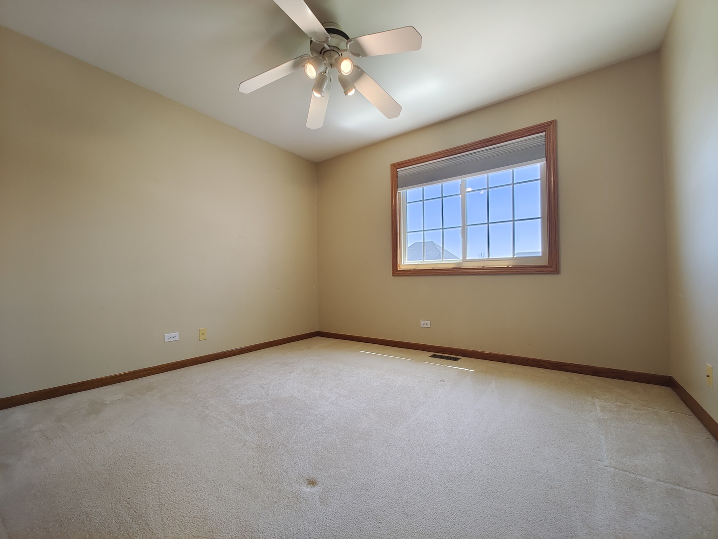 4807 Snapjack Circle Naperville, IL 60564 - Photo 20 of 29 an empty room with a chandelier fan and windows