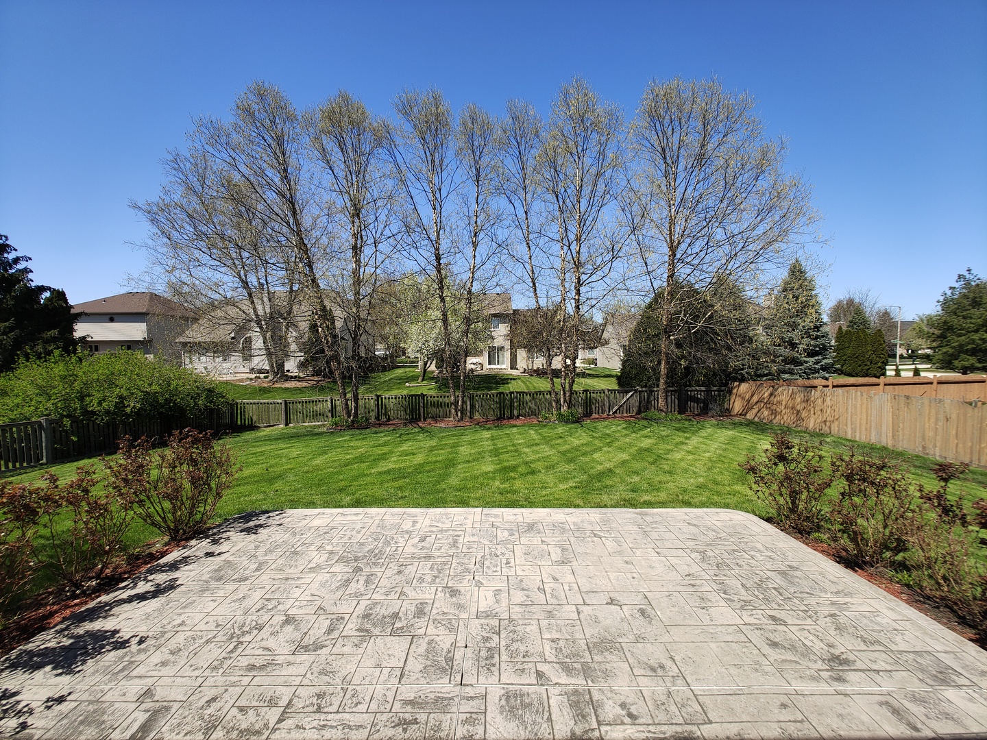 4807 Snapjack Circle Naperville, IL 60564 - Photo 29 of 29 a view of a park with large trees and a houses