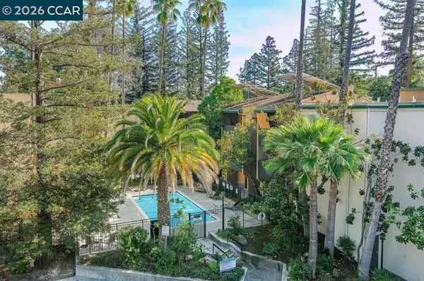 a plant that is in front of a building