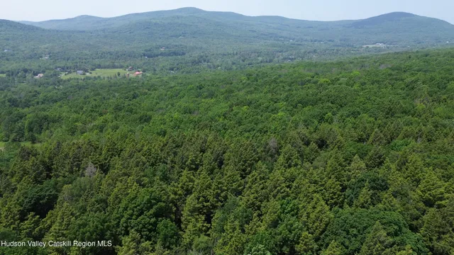 a view of a lush green hillside and a mountain view