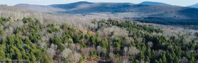a view of a lush green forest with trees