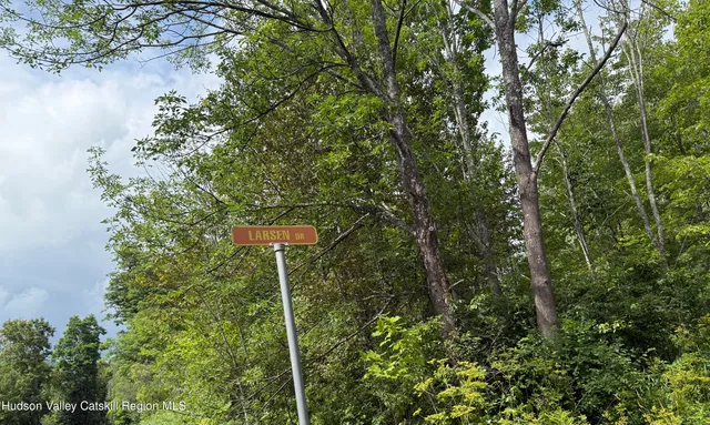 a flag is sitting in the middle of a forest