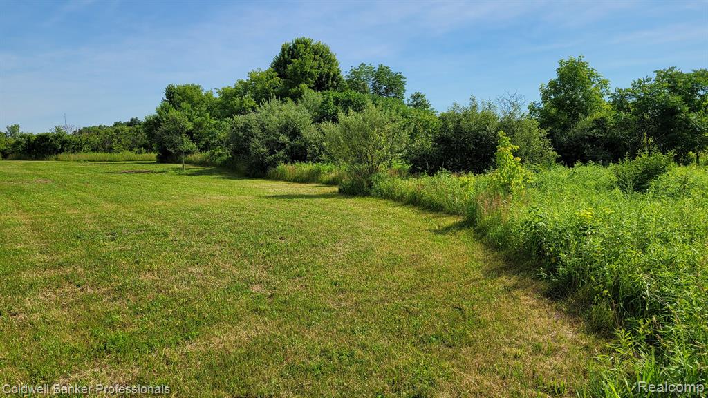 0 North Lapeer Road Columbiaville, MI 48421 - Photo 13 of 20