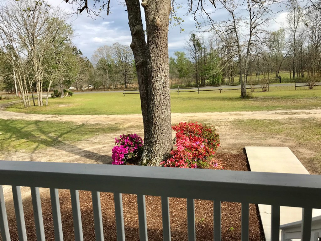 305 Beck Road Williston, SC 29853 - Photo 6 of 31