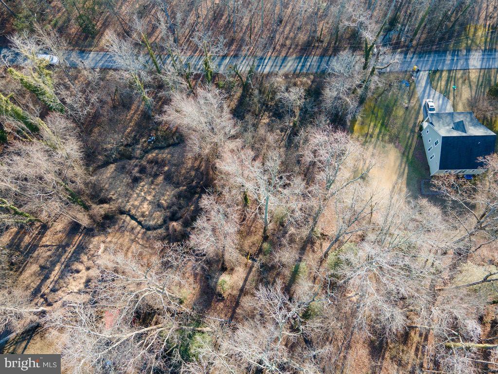 Oak Lane Edgewater, MD 21037 - Photo 2 of 18 a view of a dry yard with trees