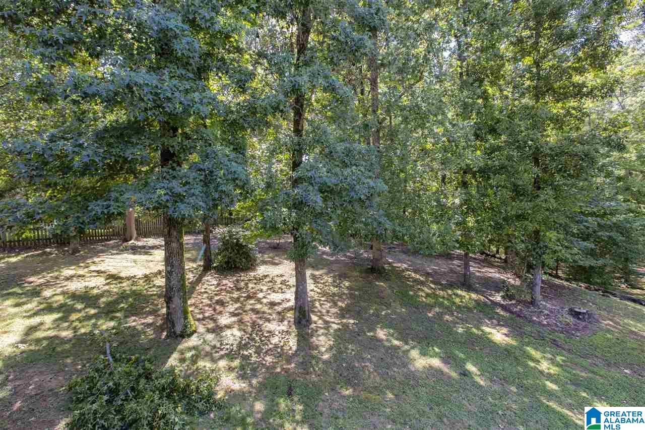 109 Shetland Trail Alabaster, AL 35007 - Photo 25 of 25