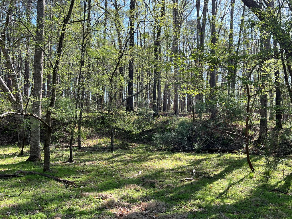 3923 Cedar Springs Road Bradley, SC 29819 - Photo 31 of 38 Gallery Image 31