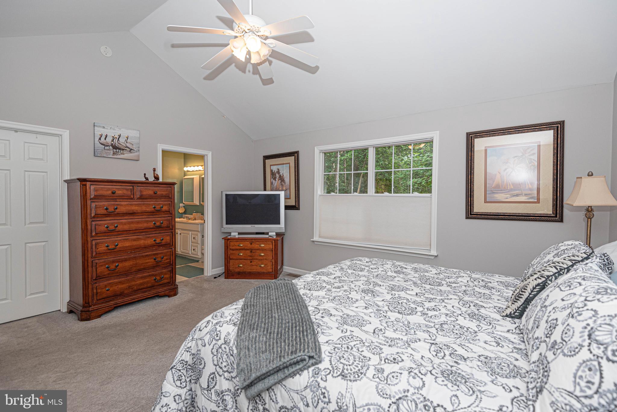 75 Pinehurst Road Ocean Pines, MD 21811 - Photo 11 of 23 Vaulted ceiling in the Primary Bedroom