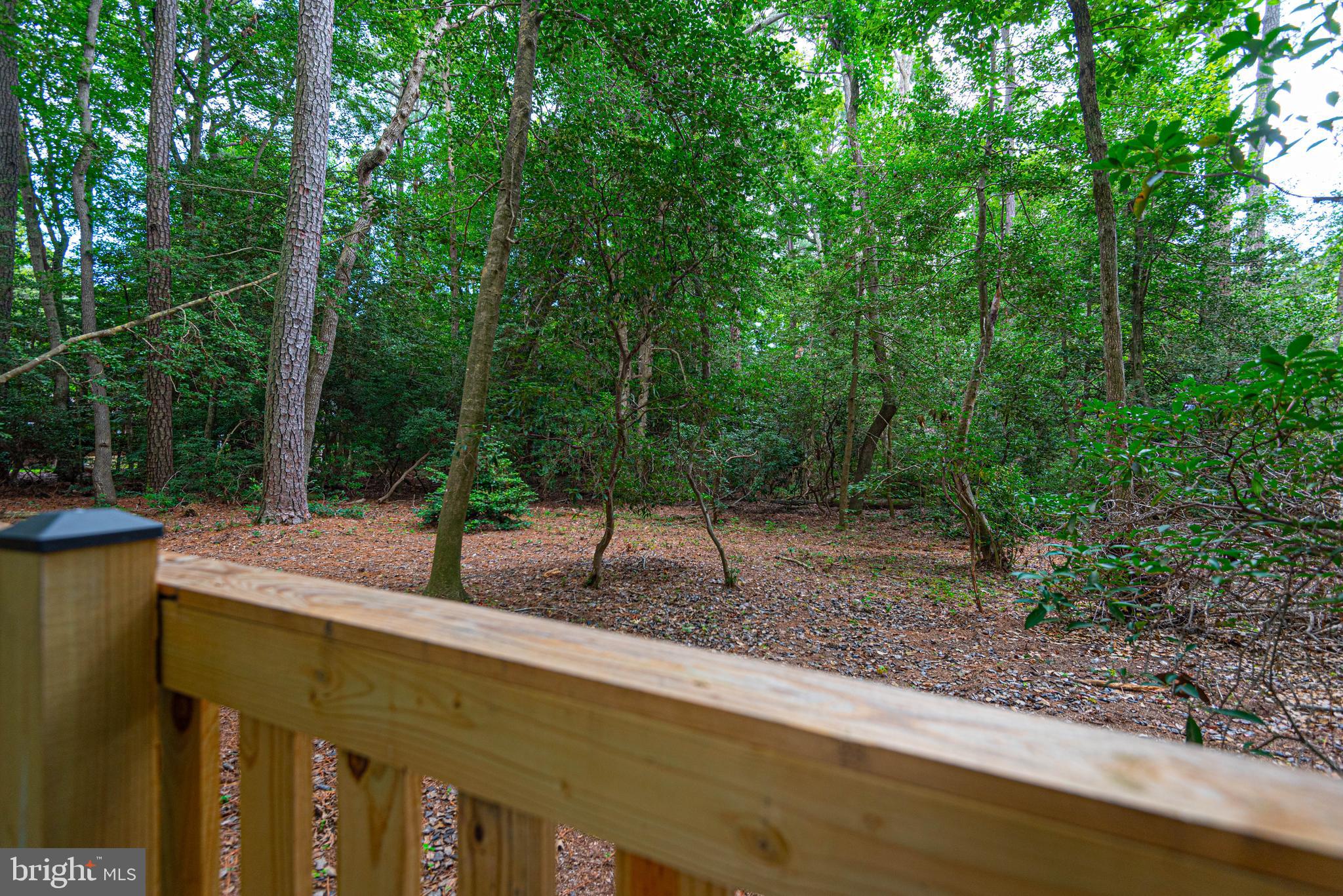75 Pinehurst Road Ocean Pines, MD 21811 - Photo 20 of 23 Large lot over 1/2 acre - view beyond the fence